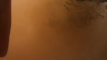 Wrc Acropolis