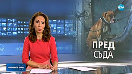 Новините на NOVA (02.02.2018 - късна)