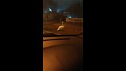Лебед се разхожда по улица в Русе