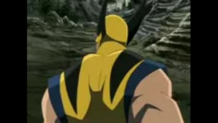 Wolverine vs Hulk
