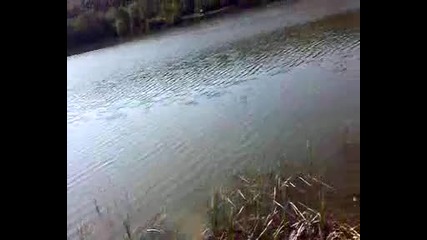 добри хора