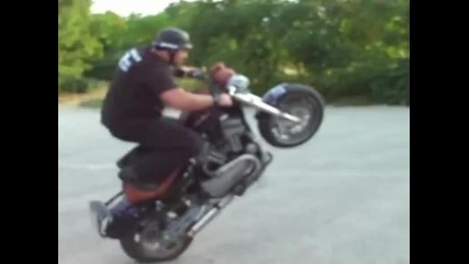 harley davidson stunt moto