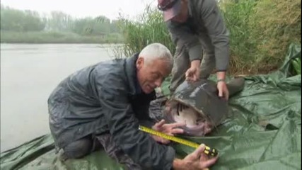 River Monsters: Monster Catfish 