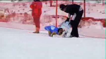 кучета карат snowboard 
