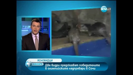Видри познават победителите от състезанията в Сочи