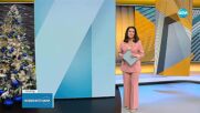 Вековна традиция: Бой с яйца и брашно в испански град
