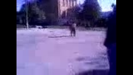 gns