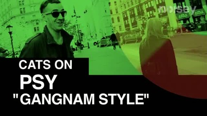 (2012) Харесват ли Котките Gangnam Style