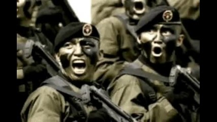 Мексиканската армия и техните специални части