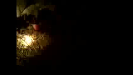 Manek0001
