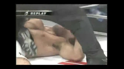 mma brutality best knockuts 