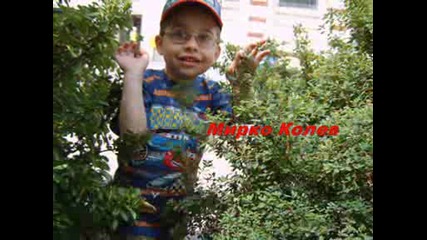 Мирко Колев.wmv