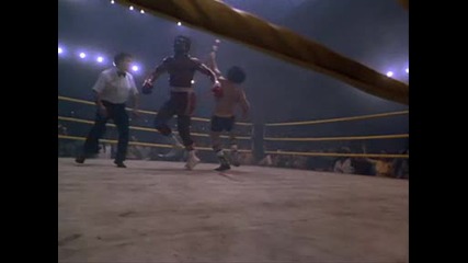Rocky.wmv