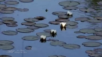 Sailing to the Moon - Jan Mulder- relaxing music