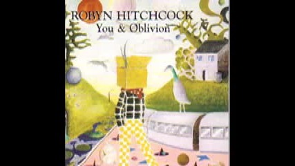Robyn Hitchcock - Take Your Knife Out of My Back