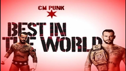 Cm Punk new theme song Cult Of Personality