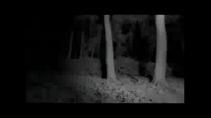 Biffy Clyro - Folding Stars
