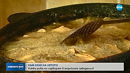 Каква риба ни сервират край морето - прясна или замразена?