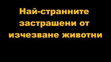 Най-странните застрашени от изчезване животни