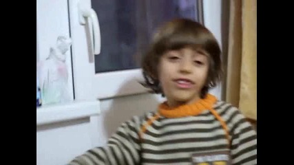 защо животните не го правят