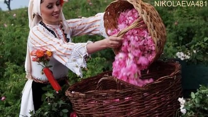 Розобер