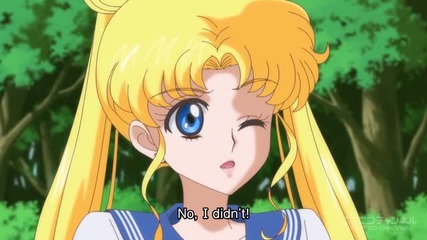 Sailor Moon Crystal Act 14 Conclusion and Commencement Petite Etrangere