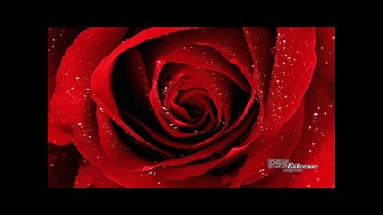 Aqua - Barbie Girl 