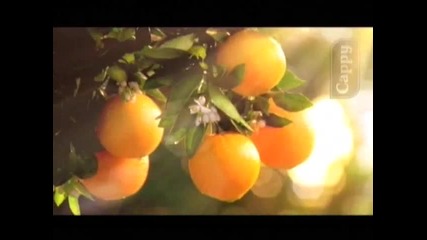 Реклама На Cappy