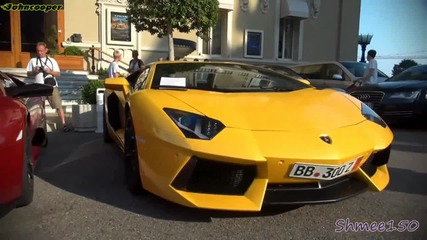 Lp670 Sv and Aventador ревът