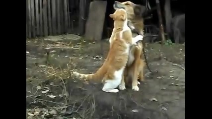 Любов!