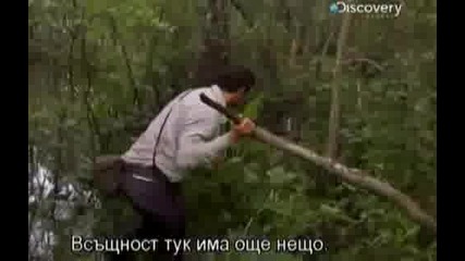 Оцеляване на предела - Дивия юг - с превод [част1/3]
