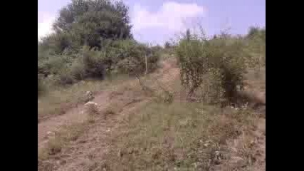 bai rado