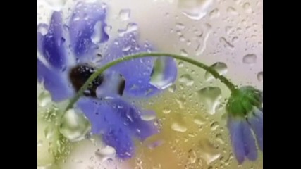 F.schubert - Serenade 