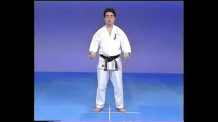 Kyokushin Karate Encyclopedia (iko1 - Matsui 8 Dan ) - 3