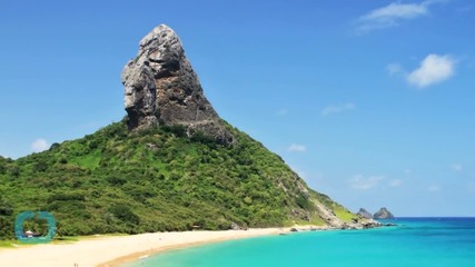 Take a Virtual Swim With the Dolphins on Protected Brazilian Islands