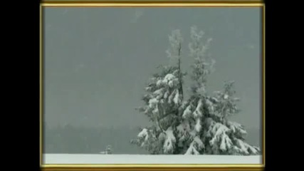 Cold seasons in my heart -secret Garden