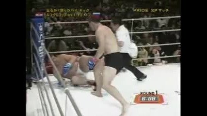 Fedor Emelianenko Vs Mirko Cro Cop Filipovic 