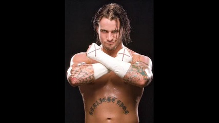 Музиката на Cm Punk