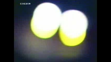 Dtm - Nordschleife 1990
