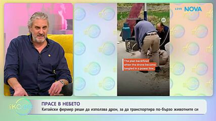 Китайски фермер използва дрон, за да транспортира по-бързо животните си | На кафе | 12 февруари 2026