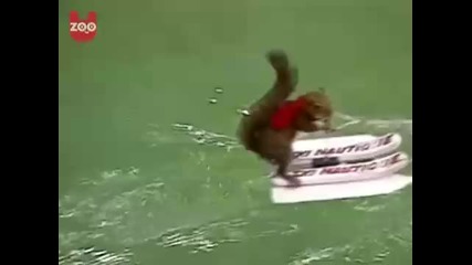 Катерица Кара Водни Ски!!!
