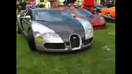 Bugatti Veyron Pur Sang Паркирва