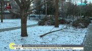Необичаен вандализъм във Велико Търново: Блокират банкомати с лепило