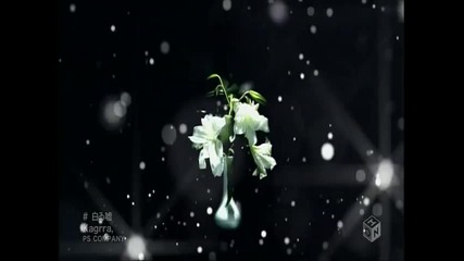 Kagrra, - Shiroi Uso