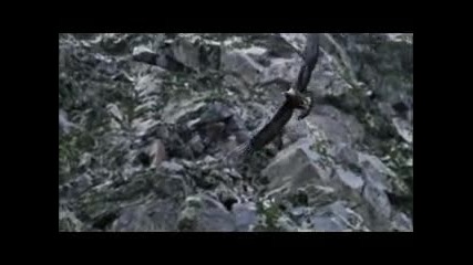 Enigma - silence must be heard 