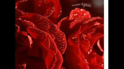 Robert Nickson Feat. Elsa Hill - Never Again