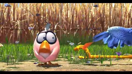 For the birds