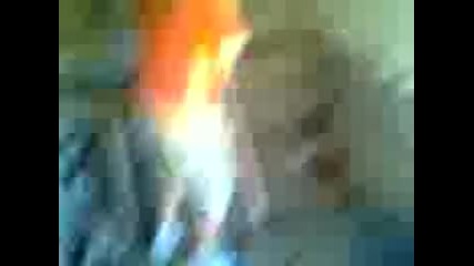 lud 