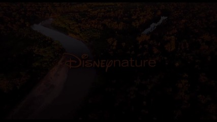 Disneynature - Chimpanzee Official Trailer 2012