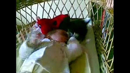 bebe s kote